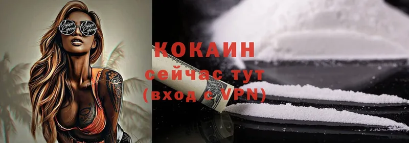 купить наркоту  Пошехонье  Cocaine Fish Scale 